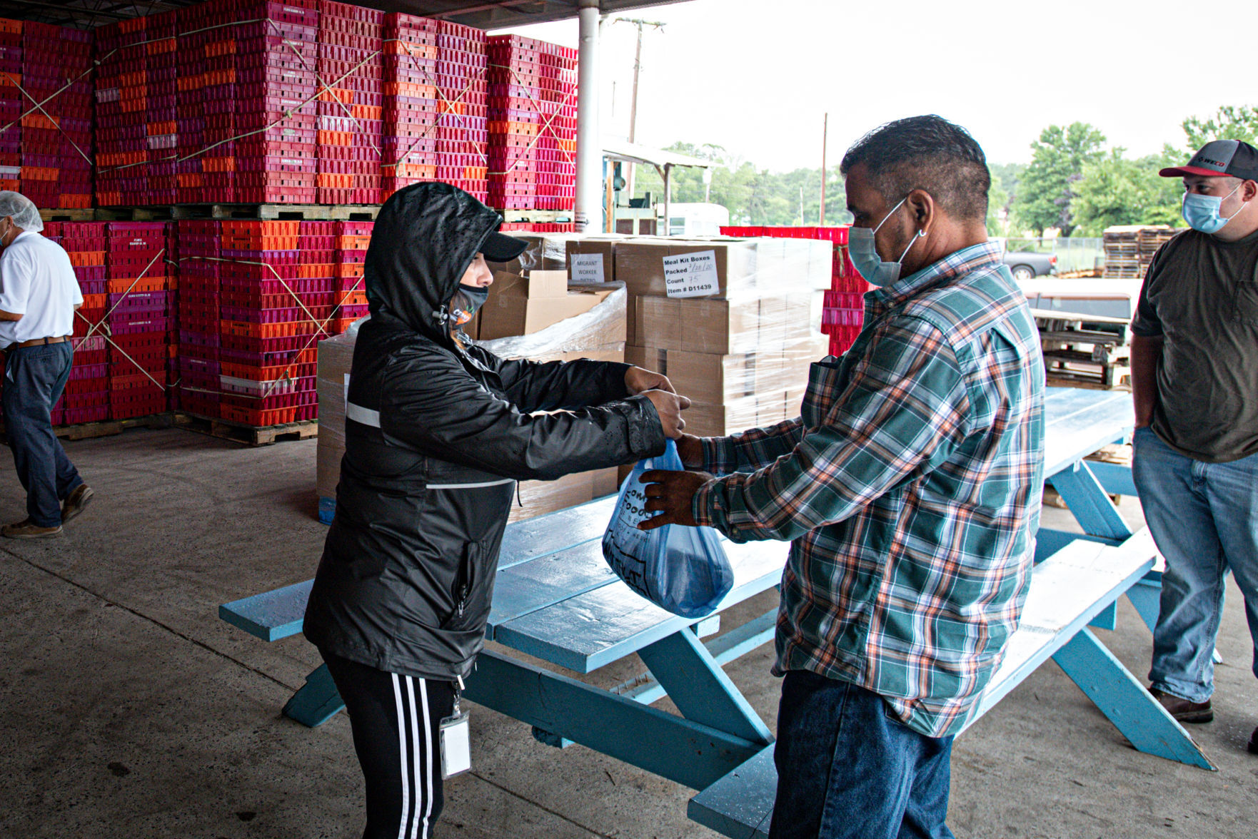 080120_nws_fooddrive